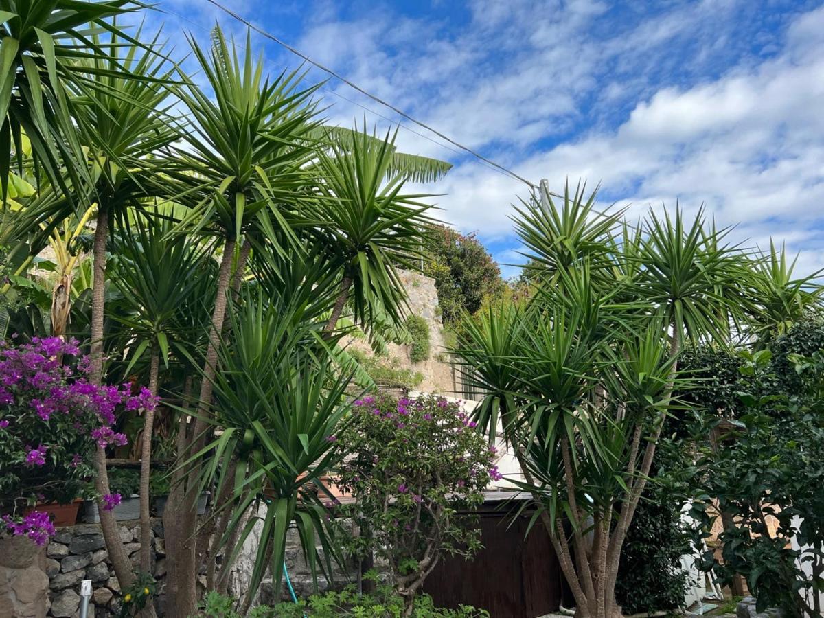 Villa Blue Dream - Amalfi Coast Conca dei Marini Exterior foto